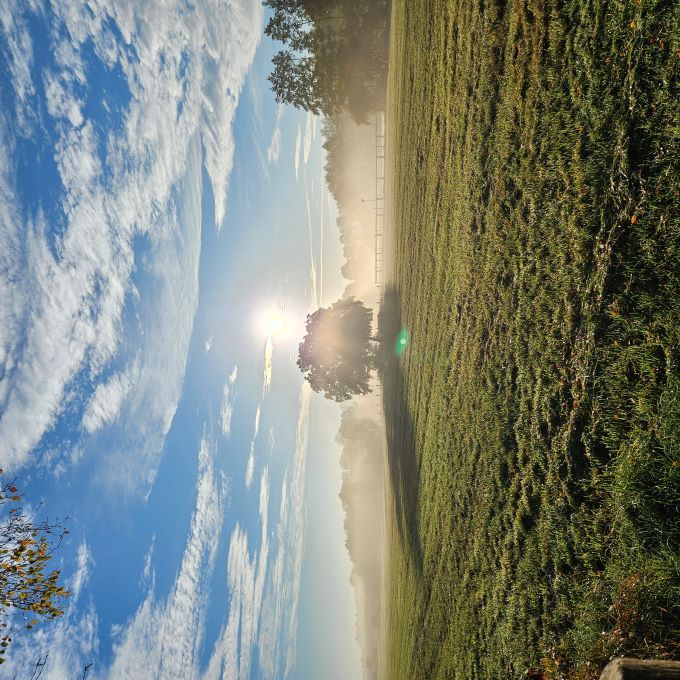 Landschaft